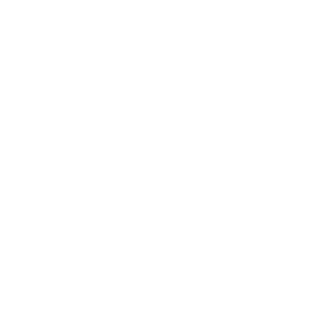 LevelUp Networks logo